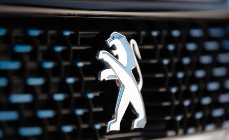 2020 Peugeot e-208 EV Grill Wallpapers 450x275 (24)