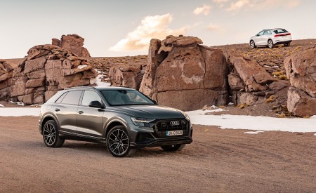 2019 Audi Q8 (Color: Daytona Grey) Front Three-Quarter Wallpapers 450x275 (165)