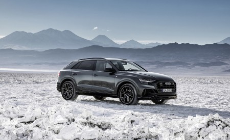 2019 Audi Q8 (Color: Daytona Grey) Front Three-Quarter Wallpapers 450x275 (169)
