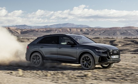 2019 Audi Q8 (Color: Daytona Grey) Off-Road Wallpapers 450x275 (175)