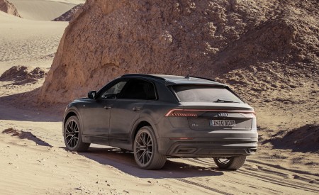 2019 Audi Q8 (Color: Daytona Grey) Off-Road Wallpapers 450x275 (177)