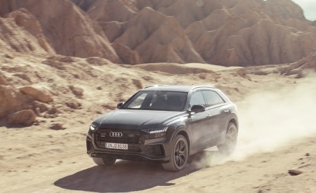 2019 Audi Q8 (Color: Daytona Grey) Off-Road Wallpapers 450x275 (178)