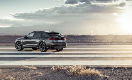 2019 Audi Q8 (Color: Daytona Grey) Rear Three-Quarter Wallpapers 450x275 (167)