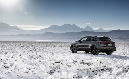 2019 Audi Q8 (Color: Daytona Grey) Rear Three-Quarter Wallpapers 450x275 (170)