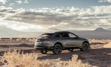 2019 Audi Q8 (Color: Daytona Grey) Rear Three-Quarter Wallpapers 450x275 (168)