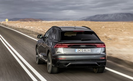 2019 Audi Q8 (Color: Daytona Grey) Rear Wallpapers 450x275 (189)