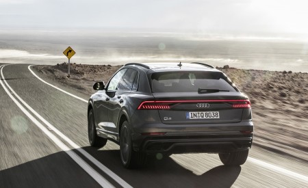 2019 Audi Q8 (Color: Daytona Grey) Rear Wallpapers 450x275 (190)