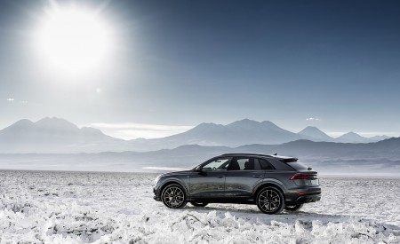 2019 Audi Q8 (Color: Daytona Grey) Side Wallpapers 450x275 (171)