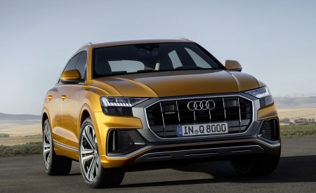 2019 Audi Q8 (Color: Dragon Orange) Front Wallpapers 450x275 (146)
