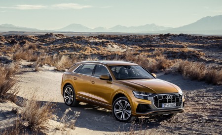 2019 Audi Q8 (Color: Dragon Orange) Off-Road Wallpapers 450x275 (136)