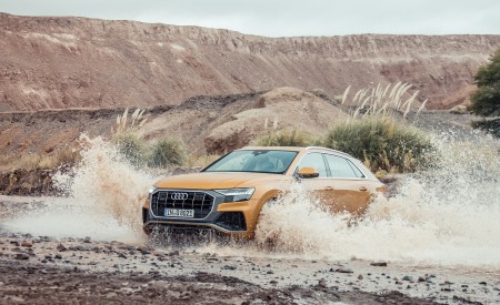 2019 Audi Q8 (Color: Dragon Orange) Off-Road Wallpapers 450x275 (126)
