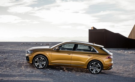 2019 Audi Q8 (Color: Dragon Orange) Off-Road Wallpapers 450x275 (137)