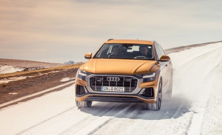 2019 Audi Q8 (Color: Dragon Orange) Off-Road Wallpapers 450x275 (128)