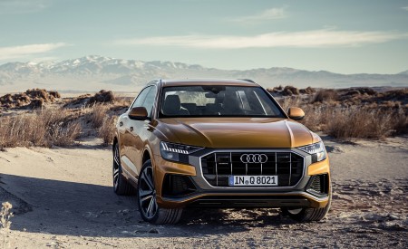 2019 Audi Q8 (Color: Dragon Orange) Off-Road Wallpapers 450x275 (129)