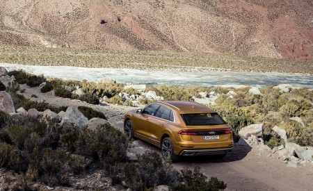 2019 Audi Q8 (Color: Dragon Orange) Rear Three-Quarter Wallpapers 450x275 (130)