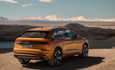 2019 Audi Q8 (Color: Dragon Orange) Rear Three-Quarter Wallpapers 450x275 (139)