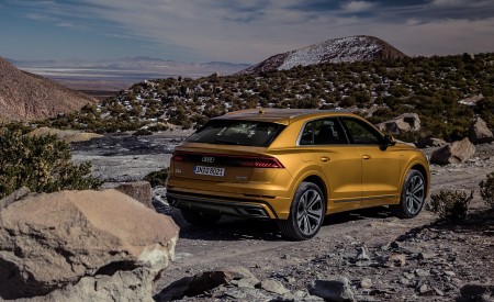 2019 Audi Q8 (Color: Dragon Orange) Rear Three-Quarter Wallpapers 450x275 (131)