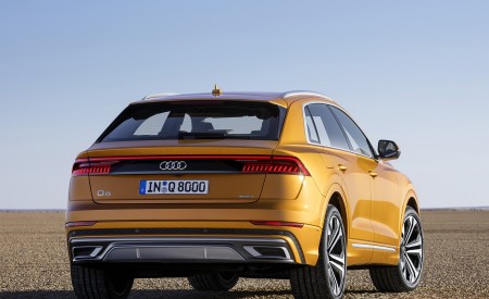 2019 Audi Q8 (Color: Dragon Orange) Rear Wallpapers 450x275 (154)