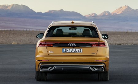 2019 Audi Q8 (Color: Dragon Orange) Rear Wallpapers 450x275 (123)