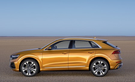 2019 Audi Q8 (Color: Dragon Orange) Side Wallpapers 450x275 (155)