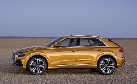 2019 Audi Q8 (Color: Dragon Orange) Side Wallpapers 450x275 (156)