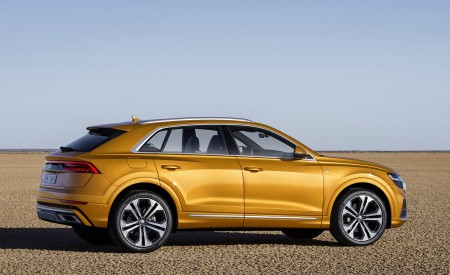 2019 Audi Q8 (Color: Dragon Orange) Side Wallpapers 450x275 (157)
