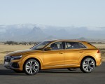 2019 Audi Q8 (Color: Dragon Orange) Side Wallpapers 150x120