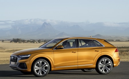 2019 Audi Q8 (Color: Dragon Orange) Side Wallpapers 450x275 (150)