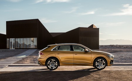 2019 Audi Q8 (Color: Dragon Orange) Side Wallpapers 450x275 (142)