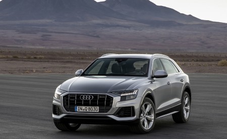2019 Audi Q8 (Color: Floret Silver) Front Three-Quarter Wallpapers 450x275 (230)