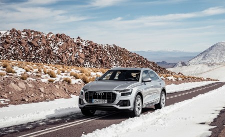2019 Audi Q8 (Color: Floret Silver) Front Three-Quarter Wallpapers 450x275 (233)