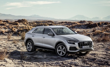 2019 Audi Q8 (Color: Floret Silver) Front Three-Quarter Wallpapers 450x275 (229)