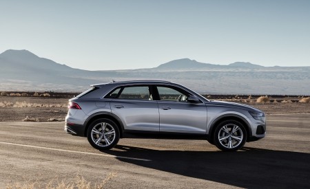 2019 Audi Q8 (Color: Floret Silver) Side Wallpapers 450x275 (235)