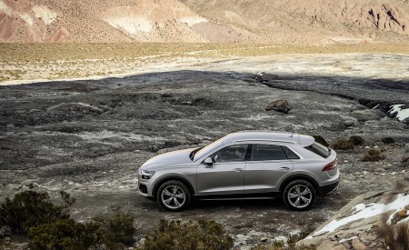 2019 Audi Q8 (Color: Floret Silver) Side Wallpapers 450x275 (226)
