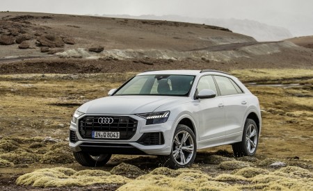 2019 Audi Q8 (Color: Glacier White) Front Three-Quarter Wallpapers 450x275 (217)