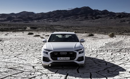2019 Audi Q8 (Color: Glacier White) Front Wallpapers 450x275 (197)