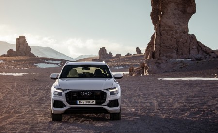 2019 Audi Q8 (Color: Glacier White) Front Wallpapers 450x275 (198)