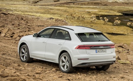 2019 Audi Q8 (Color: Glacier White) Rear Three-Quarter Wallpapers 450x275 (220)