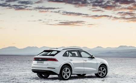 2019 Audi Q8 (Color: Glacier White) Rear Three-Quarter Wallpapers 450x275 (204)