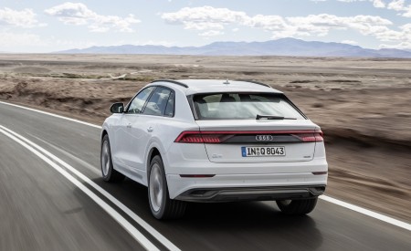 2019 Audi Q8 (Color: Glacier White) Rear Wallpapers 450x275 (210)