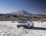 2019 Audi Q8 (Color: Glacier White) Rear Wallpapers 150x120