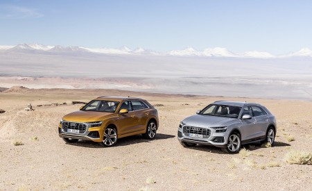 2019 Audi Q8 Front Three-Quarter Wallpapers 450x275 (237)