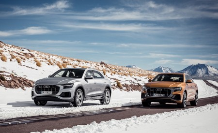 2019 Audi Q8 Front Wallpapers 450x275 (241)