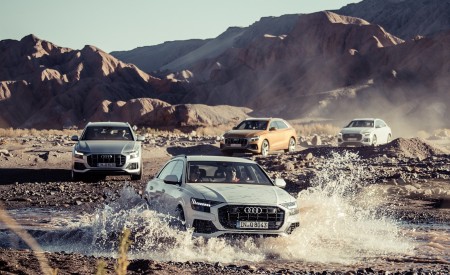 2019 Audi Q8 Off-Road Wallpapers 450x275 (242)