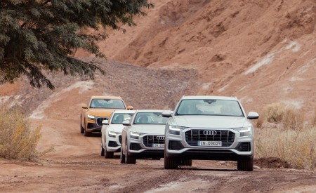 2019 Audi Q8 Off-Road Wallpapers 450x275 (243)