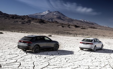 2019 Audi Q8 Rear Three-Quarter Wallpapers 450x275 (244)