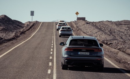 2019 Audi Q8 Rear Wallpapers 450x275 (245)