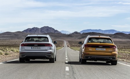 2019 Audi Q8 Rear Wallpapers 450x275 (246)
