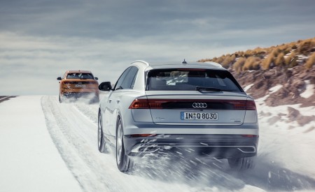 2019 Audi Q8 Rear Wallpapers 450x275 (247)
