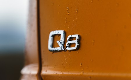 2019 Audi Q8 S Line 50 TDI Quattro (UK-Spec) Badge Wallpapers 450x275 (79)